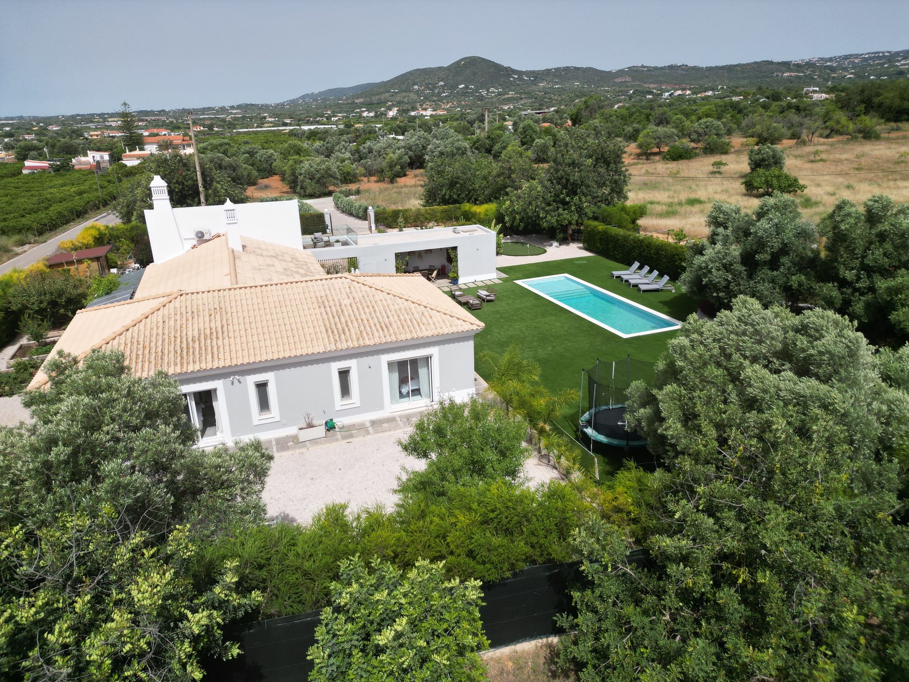 Vale da Rosa, Estoi — top-down aerial showing the house, pool and the line of olive trees marking the inner garden boundary